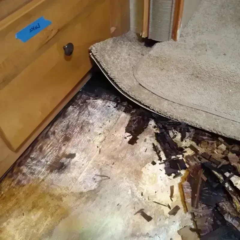 Wood Floor Water Damage in Southglenn, CO